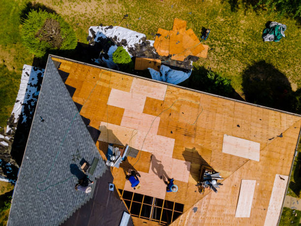 Best Roof Gutter Cleaning  in Gerdine, AL